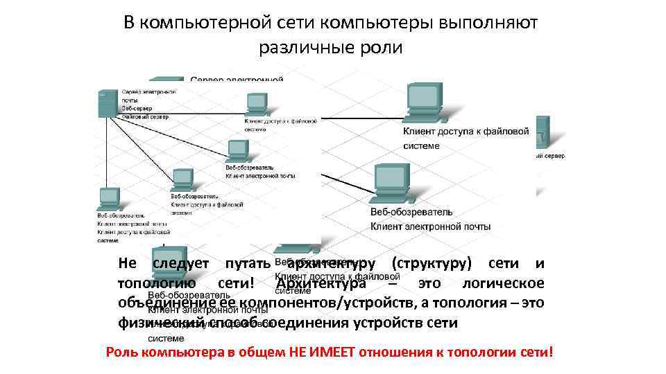 В компьютерной сети компьютеры выполняют различные роли Не следует путать архитектуру (структуру) сети и