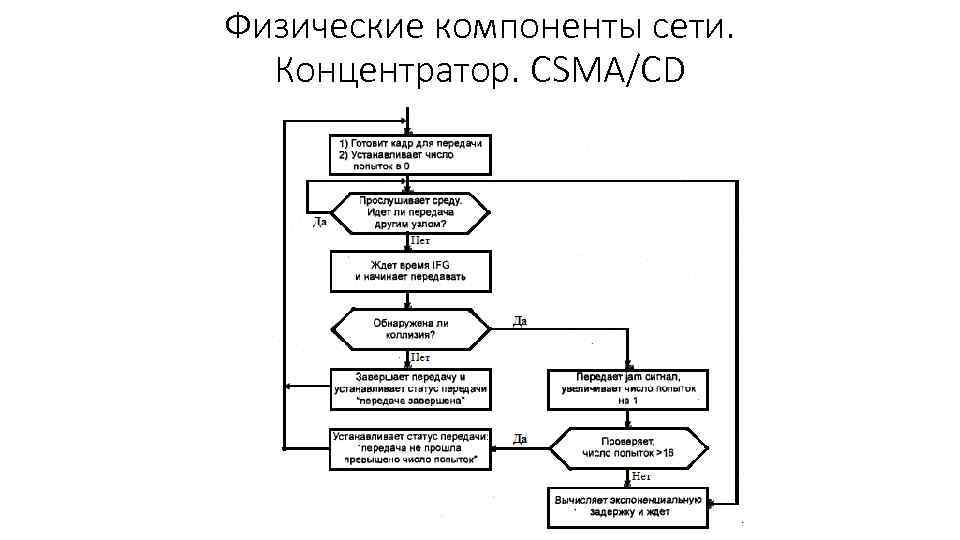 Физические компоненты сети. Концентратор. CSMA/CD 