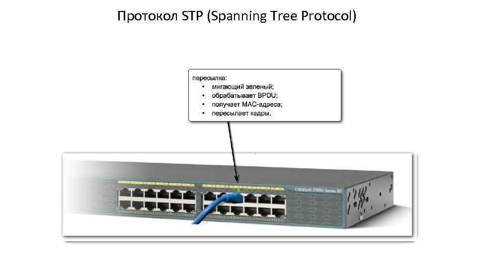 Протокол STP (Spanning Tree Protocol) 