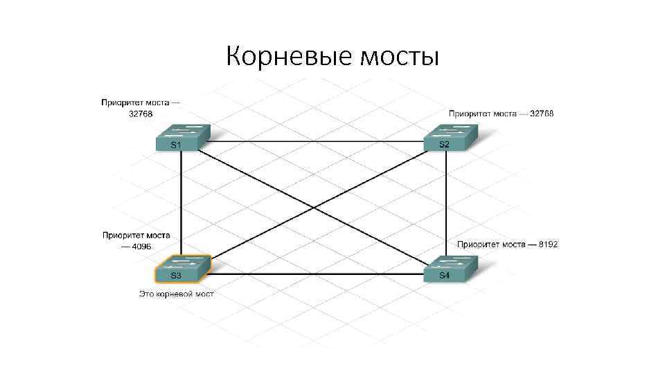 Корневые мосты 