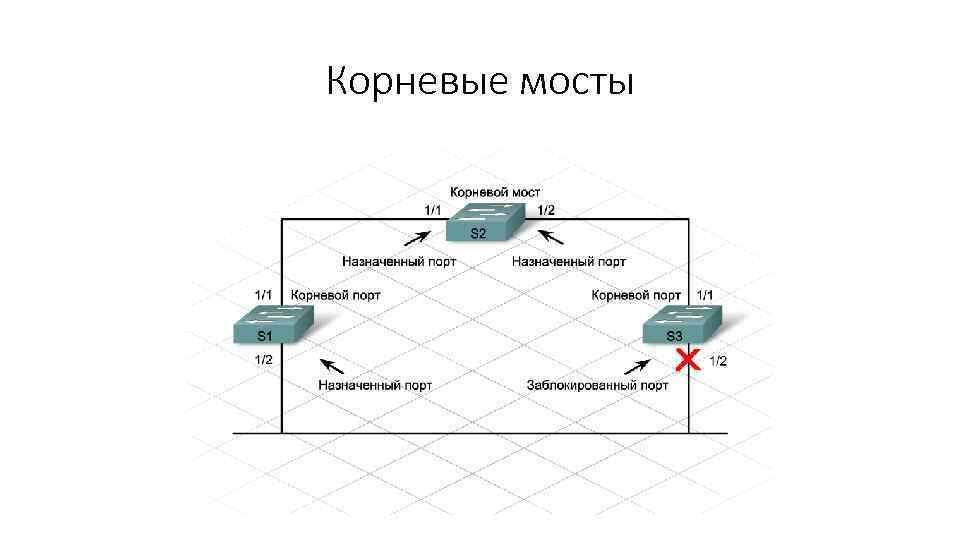 Корневые мосты 