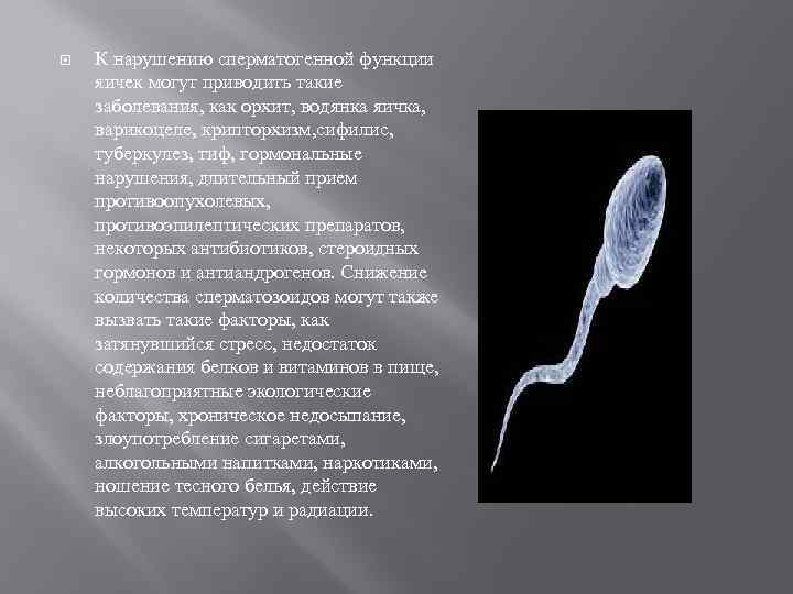  К нарушению сперматогенной функции яичек могут приводить такие заболевания, как орхит, водянка яичка,