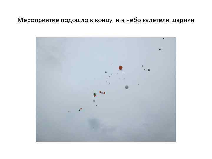 Мероприятие подошло к концу и в небо взлетели шарики 