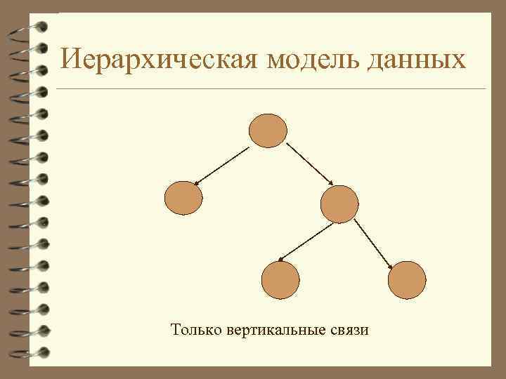 Иерархическая модель данных Только вертикальные связи 