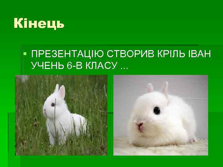 Кінець § ПРЕЗЕНТАЦІЮ СТВОРИВ КРІЛЬ ІВАН УЧЕНЬ 6 -В КЛАСУ. . . 