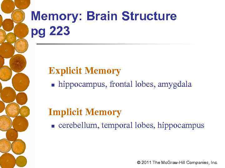 Memory: Brain Structure pg 223 Explicit Memory n hippocampus, frontal lobes, amygdala Implicit Memory