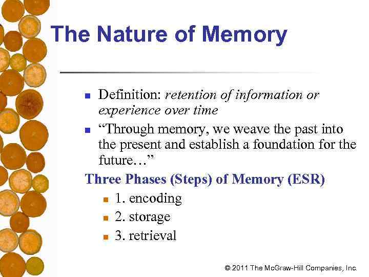 The Nature of Memory Definition: retention of information or experience over time n “Through