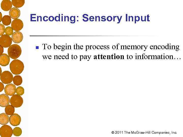 Encoding: Sensory Input n To begin the process of memory encoding we need to