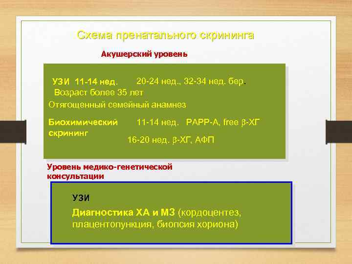 Схема пренатального скрининга Акушерский уровень 20 -24 нед. , 32 -34 нед. бер. УЗИ