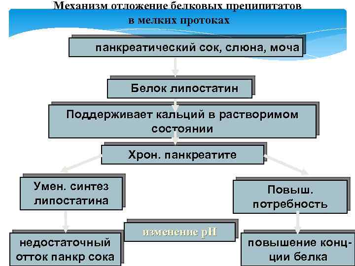 Механизм отложение белковых преципитатов в мелких протоках панкреатический сок, слюна, моча Белок липостатин Поддерживает