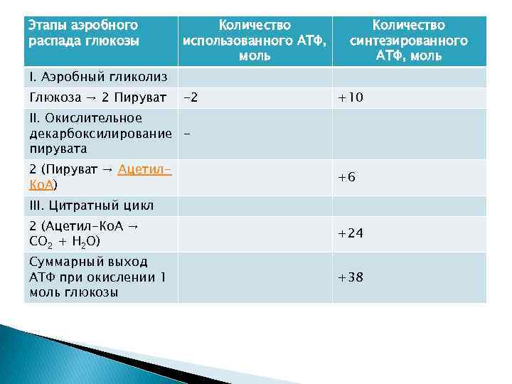 Этапы аэробного распада глюкозы Количество использованного АТФ, моль Количество синтезированного АТФ, моль I. Аэробный