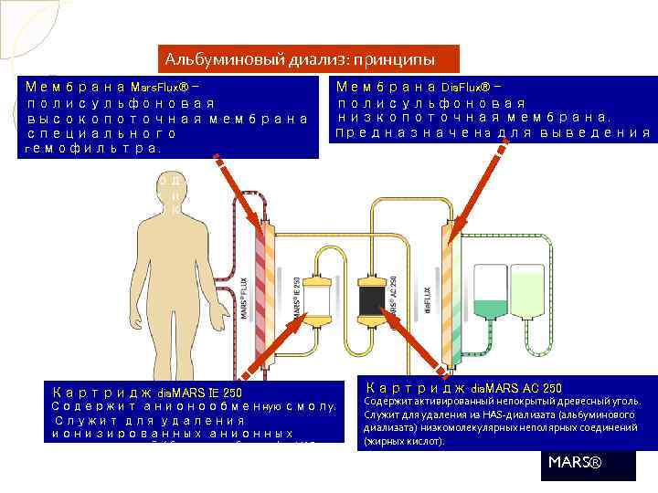 Альбуминовый диализ: принципы Мембрана Mars. Flux® полисульфоновая высокопоточная мембрана специального гемофильтра. Предназначена для выведения