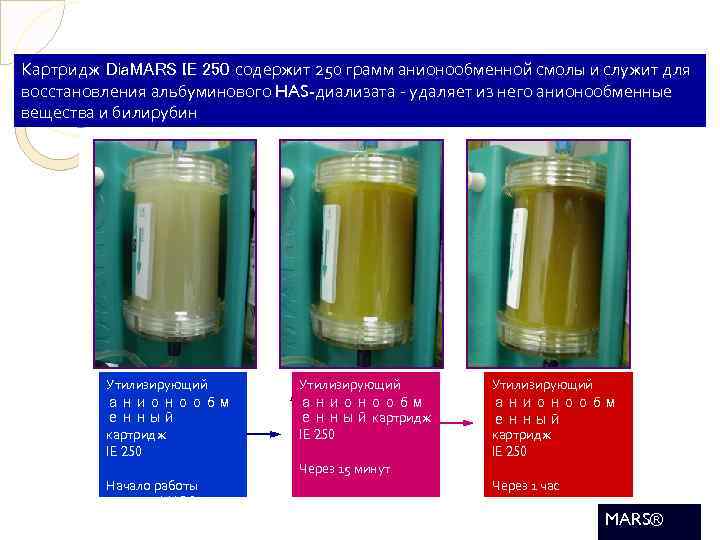 Картридж Dia. MARS IE 250 содержит 250 грамм анионообменной смолы и служит для восстановления