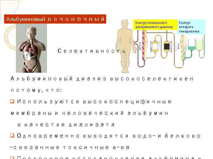 Альбуминовый печеночный диализ ! Контур печеночного альбуминового диализа Контур аппарата гемодиализа Селективность Альбуминовый диализ
