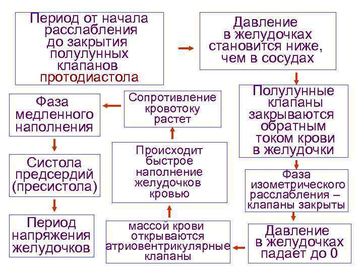 Период от начала расслабления до закрытия полулунных клапанов протодиастола Фаза медленного наполнения Давление в