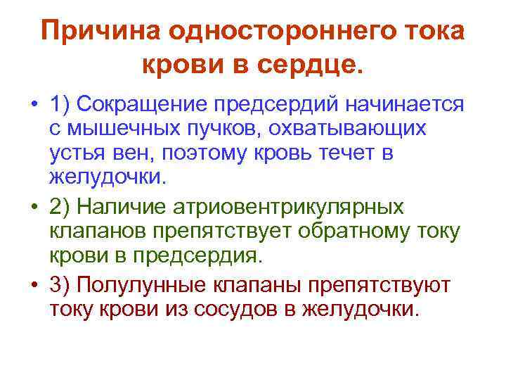 Причина одностороннего тока крови в сердце. • 1) Сокращение предсердий начинается с мышечных пучков,