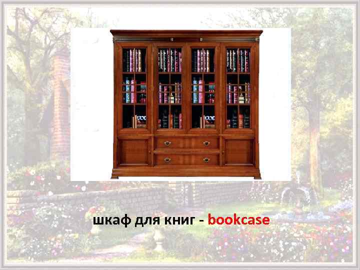 шкаф для книг - bookcase 