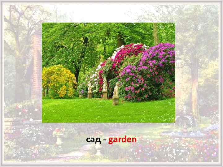 сад - garden 
