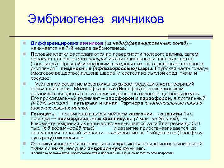 Эмбриогенез яичников n n n Дифференцировка яичников (из недифференцированных гонад) - начинается на 7