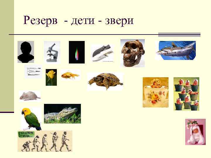 Резерв - дети - звери 