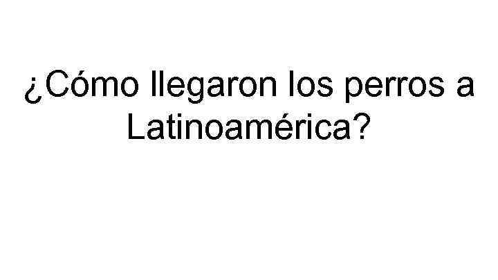 ¿Cómo llegaron los perros a Latinoamérica? 