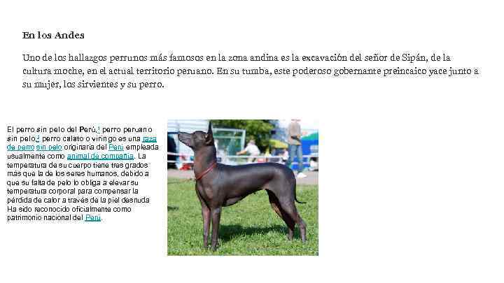 En los Andes Uno de los hallazgos perrunos más famosos en la zona andina