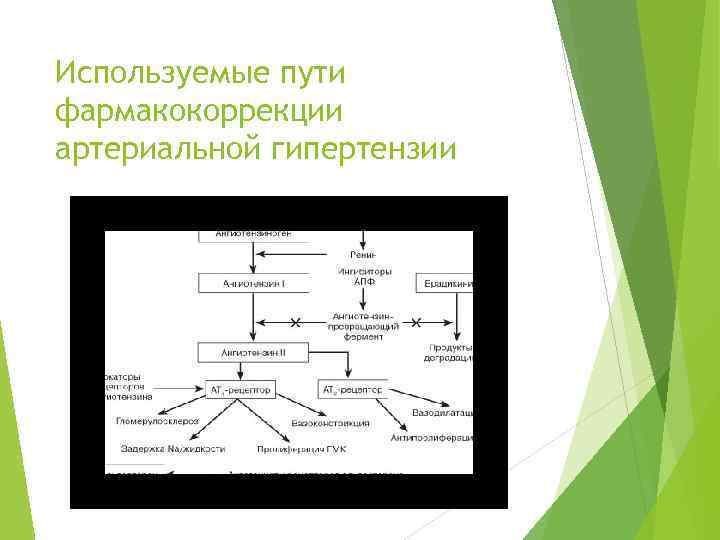 Используемые пути фармакокоррекции артериальной гипертензии 