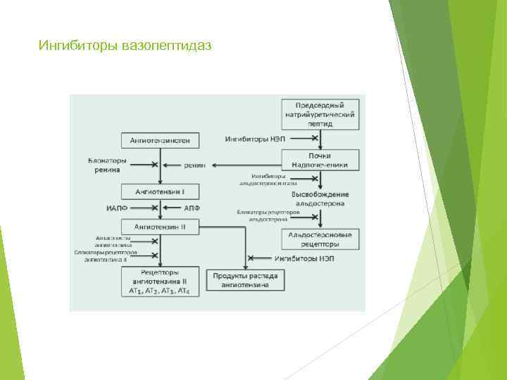 Ингибиторы вазопептидаз 