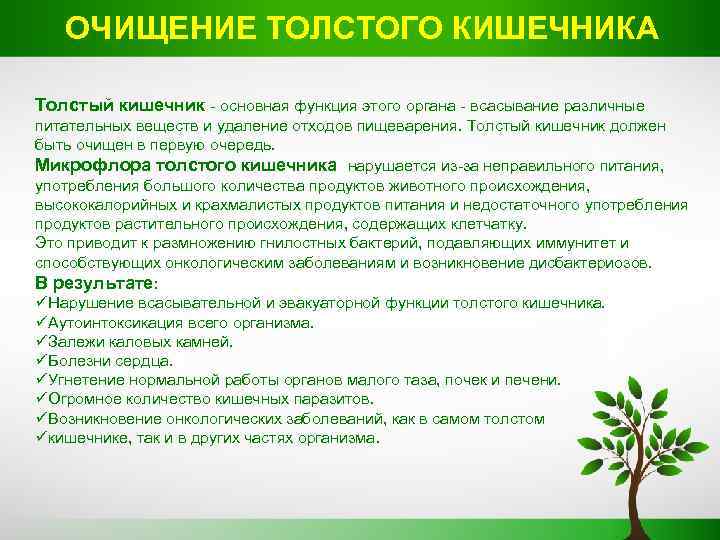 . ОЧИЩЕНИЕ ТОЛСТОГО КИШЕЧНИКА. Толстый кишечник - основная функция этого органа - всасывание различные