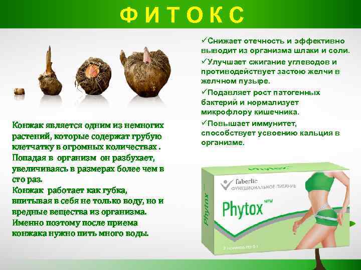 Ф И Т О К С üСнижает отечность и эффективно выводит из организма шлаки