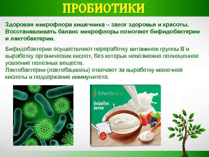 ПРОБИОТИКИ Здоровая микрофлора кишечника – залог здоровья и красоты. Восстанавливать баланс микрофлоры помогают бифидобактерии