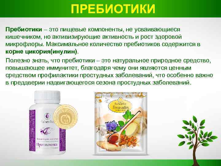 ПРЕБИОТИКИ Пребиотики – это пищевые компоненты, не усваивающиеся кишечником, но активизирующие активность и рост