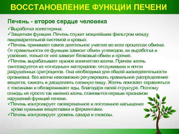 ВОССТАНОВЛЕНИЕ ФУНКЦИИ ПЕЧЕНИ. Печень - второе сердце человека üВыработка холестерина. üЗащитная функция. Печень служит