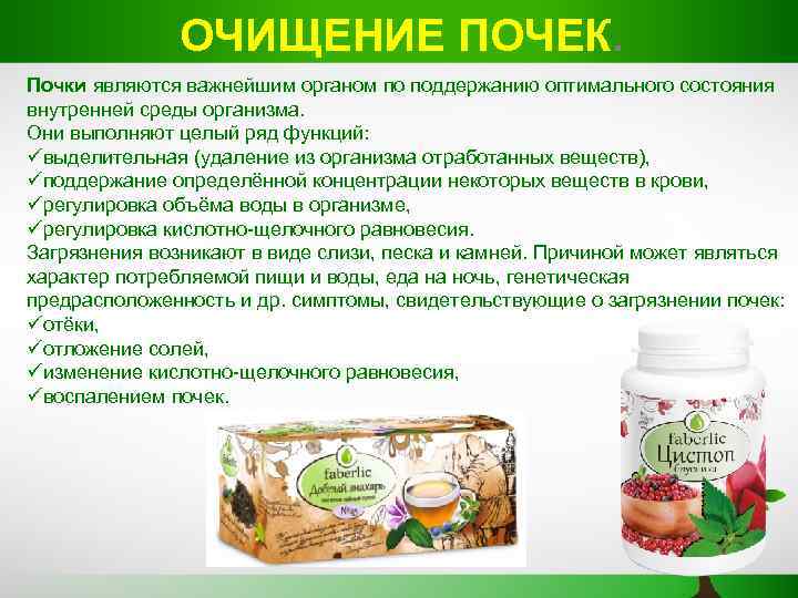 ОЧИЩЕНИЕ ПОЧЕК. Почки являются важнейшим органом по поддержанию оптимального состояния внутренней среды организма. Они