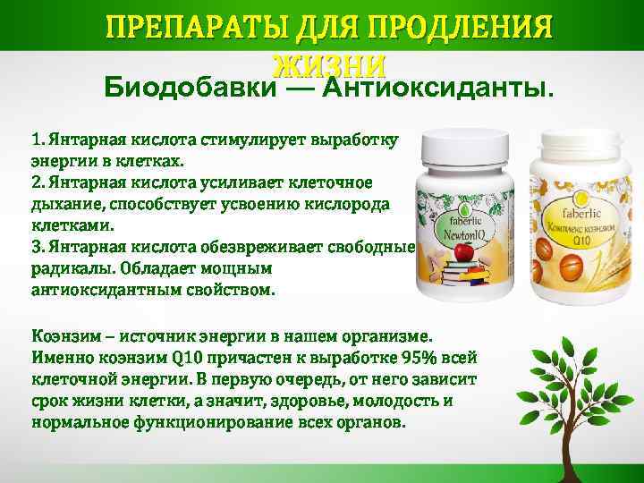 ПРЕПАРАТЫ ДЛЯ ПРОДЛЕНИЯ ЖИЗНИ Биодобавки — Антиоксиданты. 1. Янтарная кислота стимулирует выработку энергии в