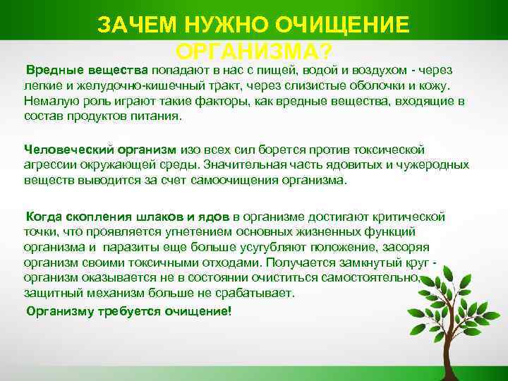 ЗАЧЕМ НУЖНО ОЧИЩЕНИЕ ОРГАНИЗМА? Вредные вещества попадают в нас с пищей, водой и воздухом