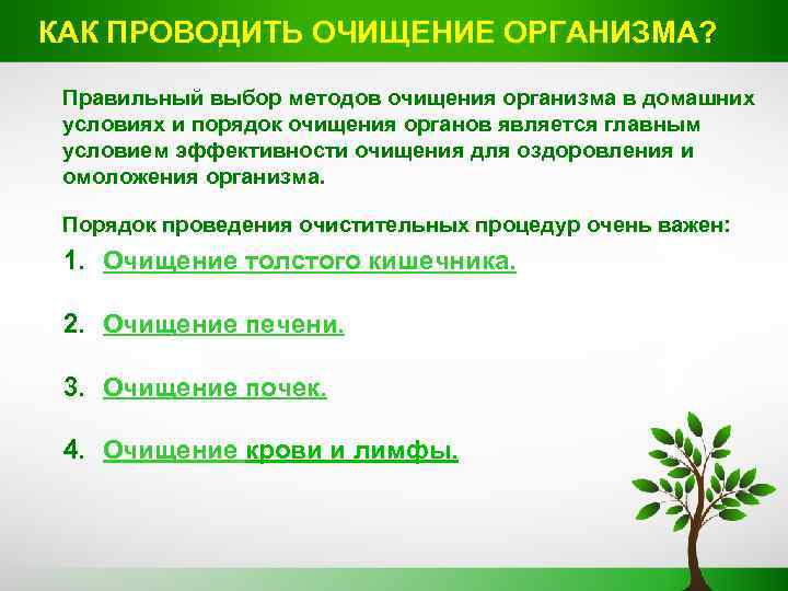 КАК ПРОВОДИТЬ ОЧИЩЕНИЕ ОРГАНИЗМА? Правильный выбор методов очищения организма в домашних условиях и порядок