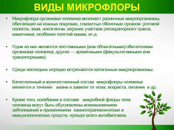 ВИДЫ МИКРОФЛОРЫ • Микрофлора организма человека включает различные микроорганизмы, обитающие на кожных покровах, слизистых