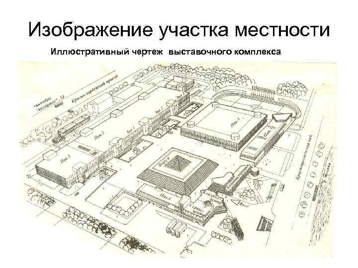 Изображение участка местности Иллюстративный чертеж выставочного комплекса 