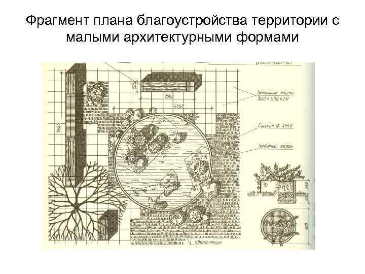 Фрагмент плана благоустройства территории с малыми архитектурными формами 