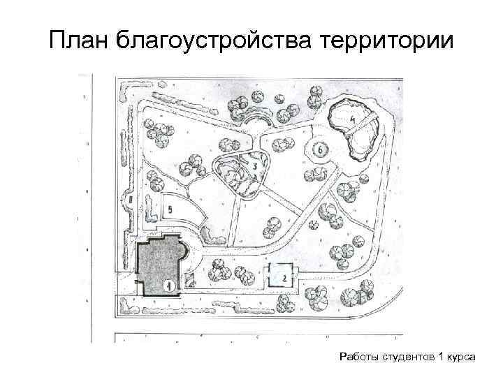 План благоустройства территории Работы студентов 1 курса 