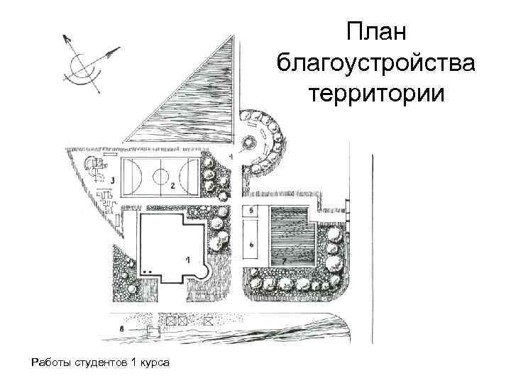 План благоустройства территории Работы студентов 1 курса 