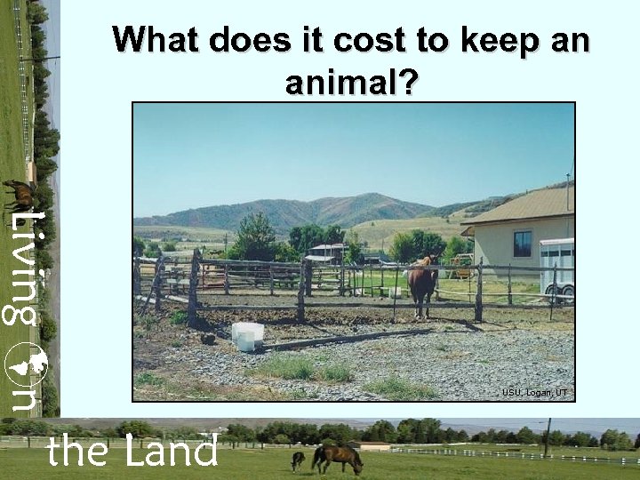 What does it cost to keep an animal? Living n the Land USU, Logan,