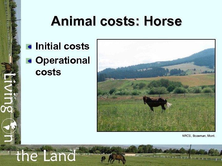 Animal costs: Horse Living n Initial costs Operational costs the Land NRCS, Bozeman, Mont.