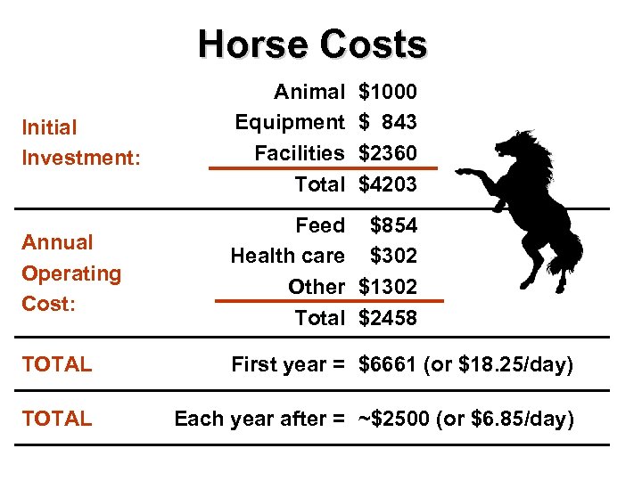 Horse Costs Initial Investment: Animal Equipment Facilities Total $1000 $ 843 $2360 $4203 Annual