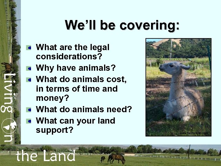 We’ll be covering: Living n What are the legal considerations? Why have animals? What