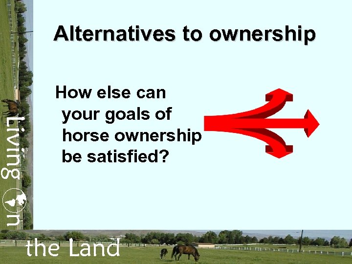 Alternatives to ownership Living n How else can your goals of horse ownership be