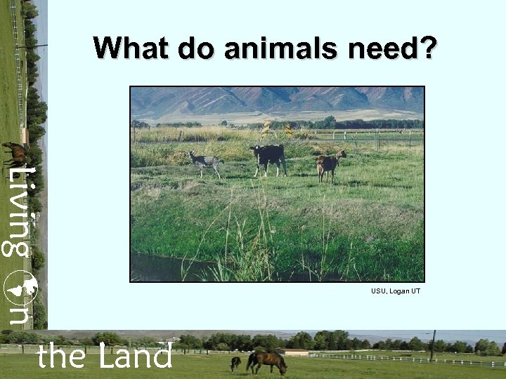 What do animals need? Living n the Land USU, Logan UT 