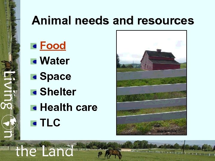 Animal needs and resources Living n Food Water Space Shelter Health care TLC the