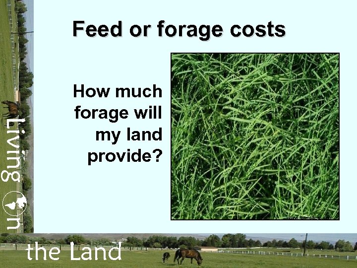 Feed or forage costs Living n How much forage will my land provide? the